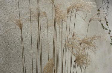 Studio cocooning - Foto 19