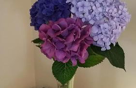 A CASA DO BUXO - Foto 12