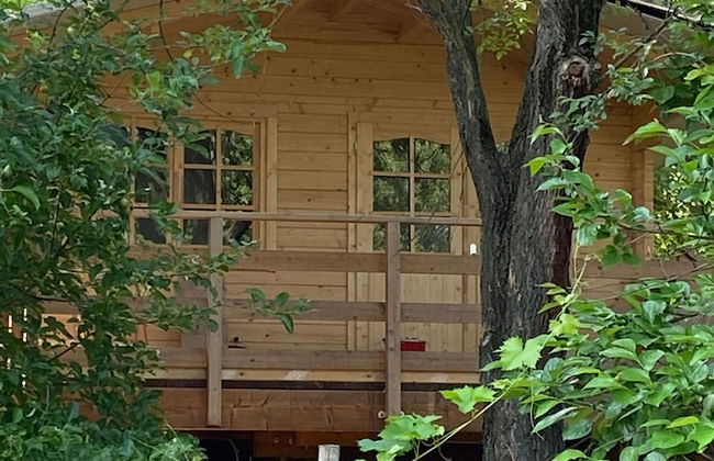 Holiday House Sullalbero Rural eco in Alba - Foto 14