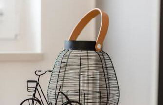 5 Sterne-Ferienhaus Eisvogel am See mit Sauna und Kamin - Foto 33