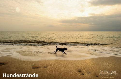 Haus Schultz "Traumblick 1" - Foto 21