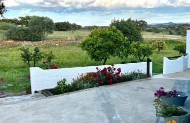 Casa da Cerca - Foto 12