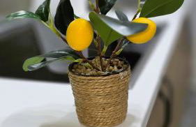 Propiedad San Salvador - Foto 27