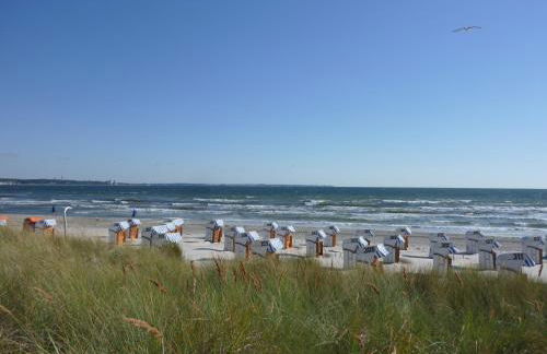 Gut Kattenhöhlen - Foto 10