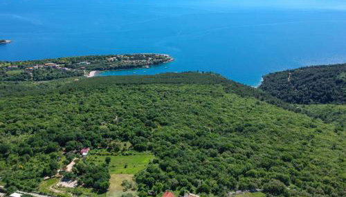 Apartment Marinella-1 by Interhome - Foto 4