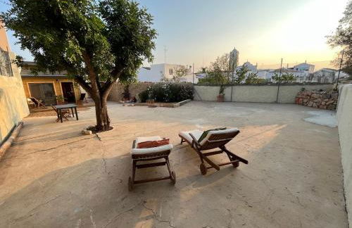 Wood11 - Charming TinyHouse in a Lovely Garden - Foto 31