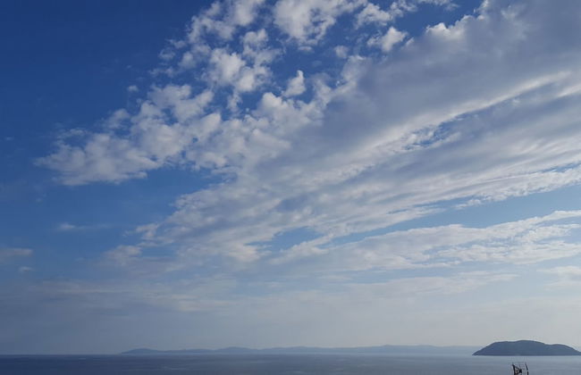 Natalie Apartments - Photo 32