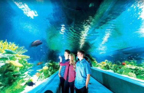 Designer 5 Bd Home, Fountain Pool, Spa, Game Patio - Foto 35