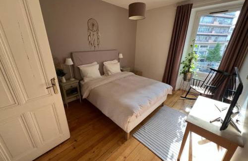 Entire Apartment or Private Rooms, Minutes from Geneva, Excellent Location - Photo 29