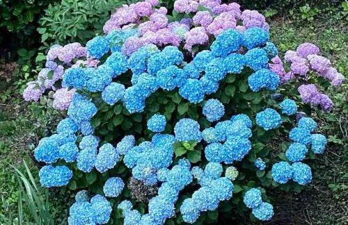 Mountain route - Foto 24