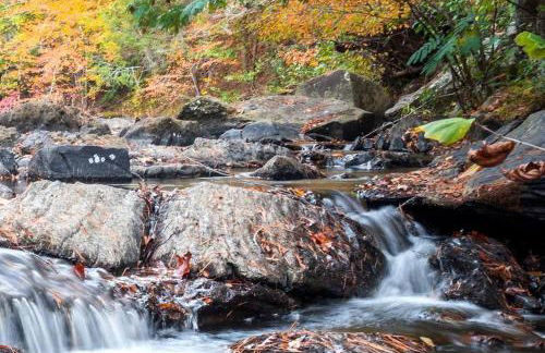 Incredible Vacation Rental for Large Groups on 20 Acres in Reliance, Tennessee - Foto 35