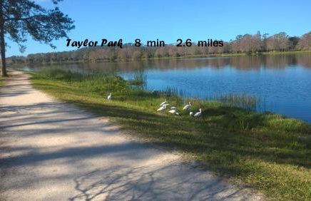 NICE PLACE Studio1 of 2 - Foto 38