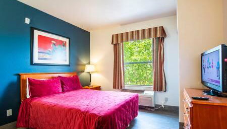 The Vistas 119 Modern studio with full kitchen 1st floor great location - Foto 1