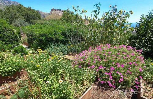 Villa Kasteli - Secret Beauty in the Mountains - Foto 34