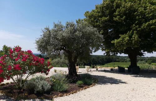 Mas du Tilleul - Foto 11