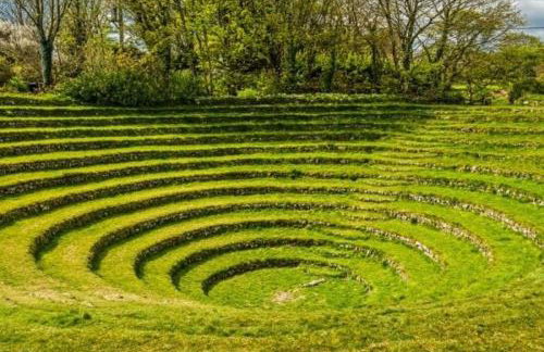 Honeysuckle Cabin - Photo 29