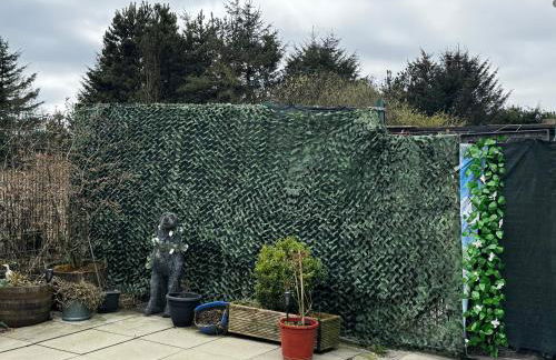 Bumble’s Barn - Foto 30