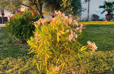 Luxury home private duras - Foto 6