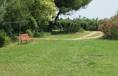 Le mazet du mas - Foto 22