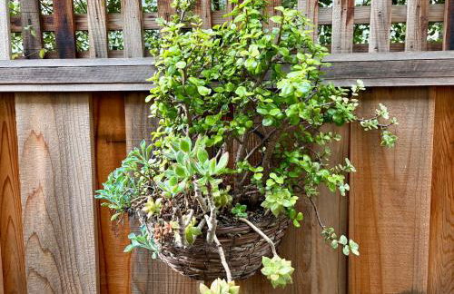 Modern & Open 2BR in Rockridge, Highly Walkable on Oakland Berkeley Border - Foto 22