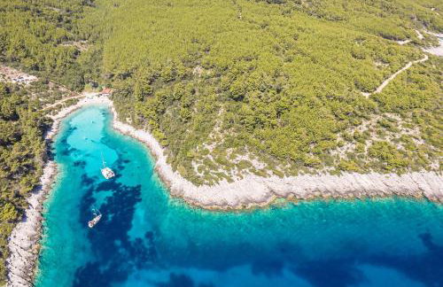 Villa Sofia Zavalatica - Foto 10