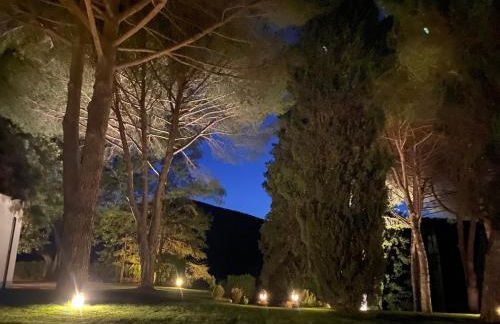 Ghiaccio Bosco - Foto 34