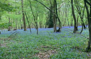 Pooks Rest - Foto 20