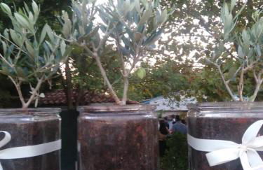 Country Villa Atheras - Photo 33