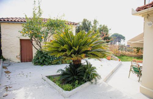 Myrtilli Cottages Pelion - Foto 18