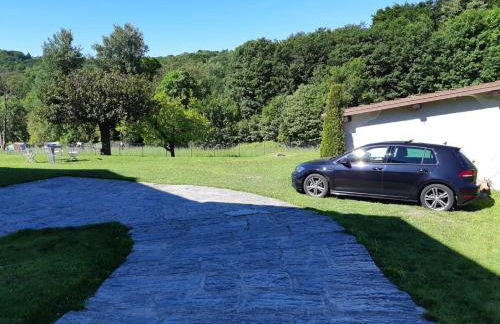 I tulipani - Foto 14