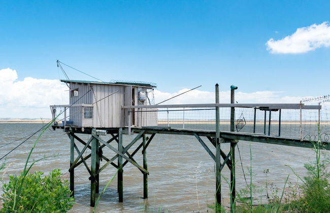 Mon Poussin - Photo 27