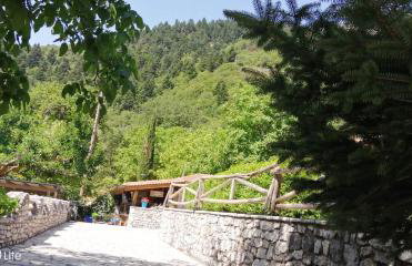 Petrina Theohari - Foto 25