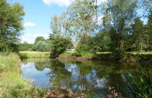 Gîte champêtre pour 5 pers avec terrasse près des châteaux, animaux admis - FR-1-491-345 - Foto 23