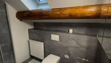 Ferienwohnungen Am Mühlenhügel - Foto 3, Shower