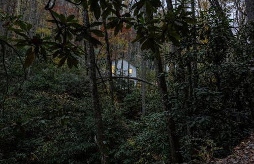 Creek side Mountain Perfect for Families ,We are just 5 to 7 minutes from the entrance of Pisgah Forest, where you ll find many rivers and waterfalls - Foto 23