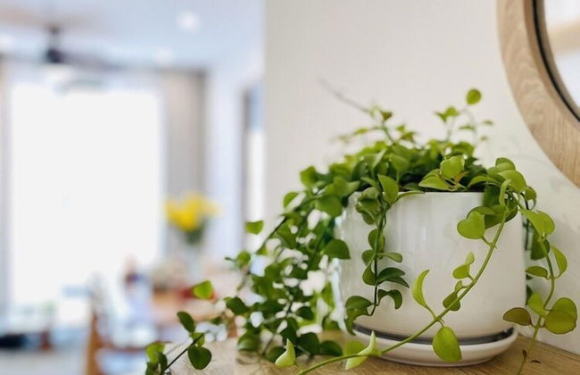 Vinhomes Grand Park Homes by Christine - Foto 32