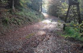 Apartment Preising - Foto 23