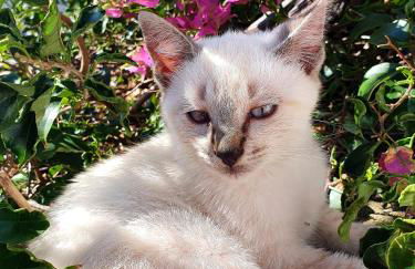 Casa do Maracuja - Foto 61