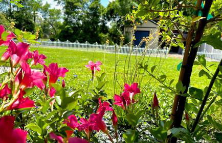 New Design-Movie Night Bar-Fire Pit-Hammocks-Games - Foto 40