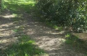 Cévennes Méridionales maison linge fourni - Foto 4