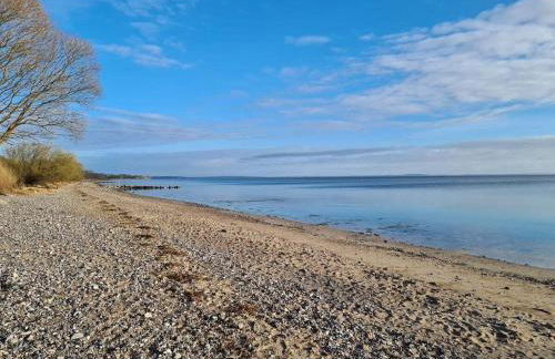 Old Merchant on the Baltic Sea Beach - Photo 27