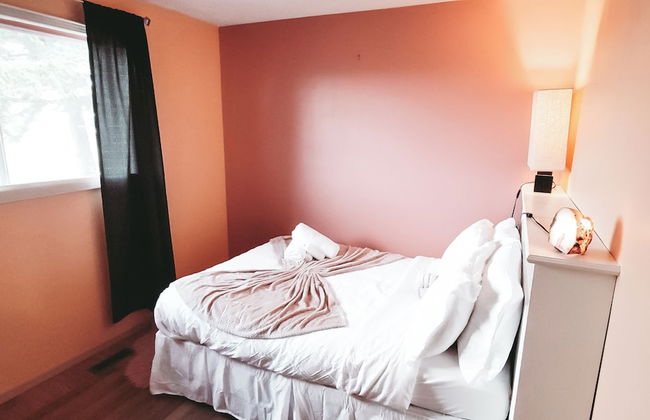 The Canary 223 - Photo 5