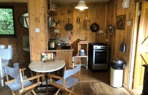 FoxesDen, Unique Eco Cabin, Dartmoor views - Foto 29