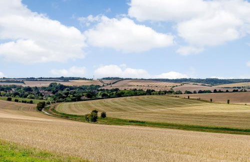 1 Pheasant - Photo 33