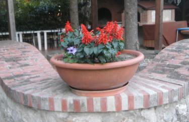 Parco Sogni d'Oro - Photo 21