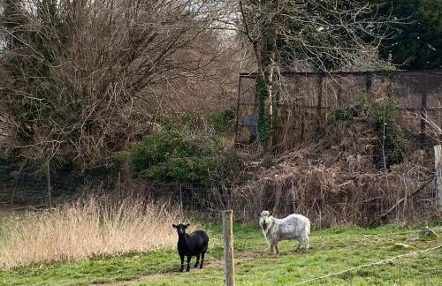 Belle Vue Gite - Foto 39