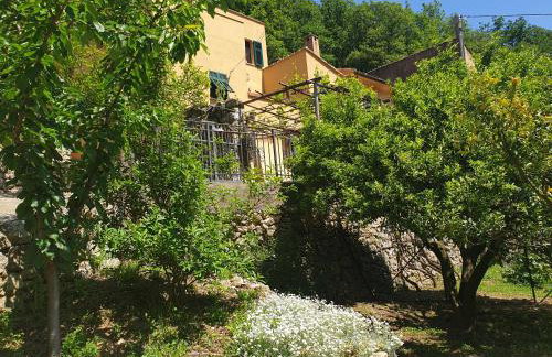 Agriturismo Alveare - Foto 44