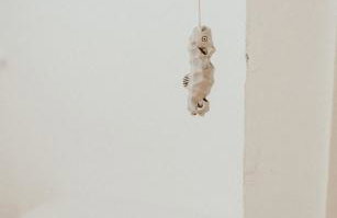 Higher Trewithen - Photo 17