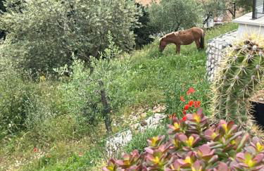 Villa Allegrini - Foto 31