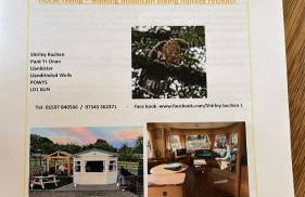 Pant yr onen holidays - Photo 73